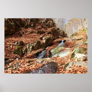 Mountain Waterfall - Wild Nature Romania Poster
