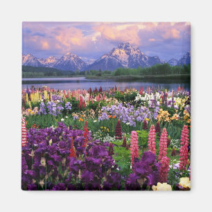 Mountain wild flowers magnet