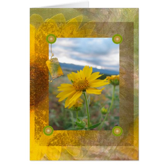 Mountain Wildflower Greeting Card