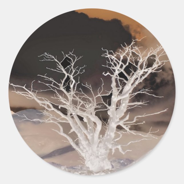 MOUNTAIN WINTER CLASSIC ROUND STICKER (Front)