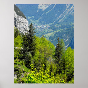 Mountain woodland in the Swiss alps Poster