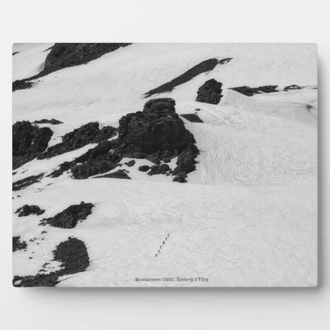 Mountaineers Plaque (Front)