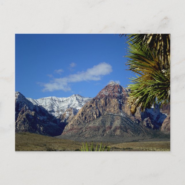 Mountains and Canyon View with Snow Postcard (Front)