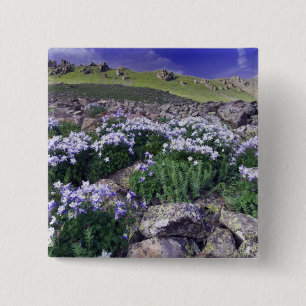Mountains and wildflowers in alpine meadow, 15 cm square badge