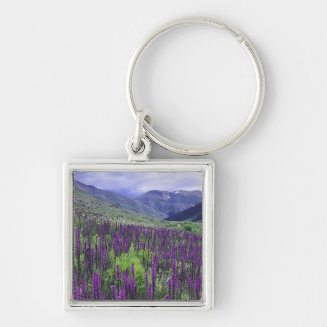 Mountains and wildflowers in alpine meadow, 2 key ring (Front)