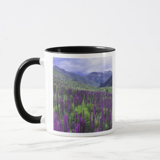 Mountains and wildflowers in alpine meadow, 2 mug (Left)