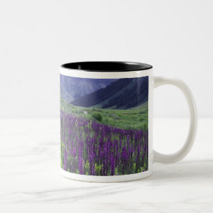 Mountains and wildflowers in alpine meadow, 2 Two-Tone coffee mug
