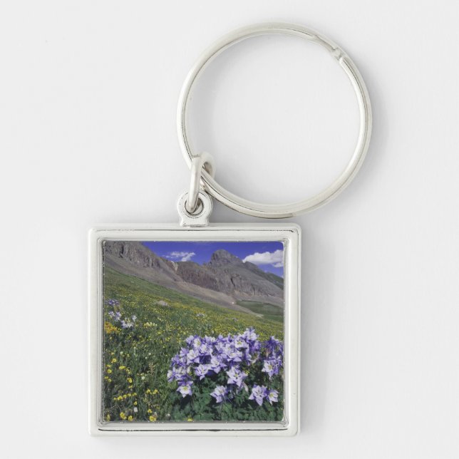 Mountains and wildflowers in alpine meadow, Blue Key Ring (Front)