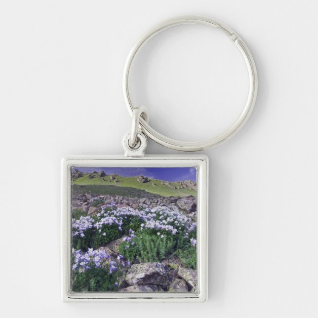 Mountains and wildflowers in alpine meadow, key ring (Front)