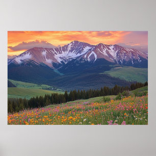 Mountains and Wildflowers Print Colorado