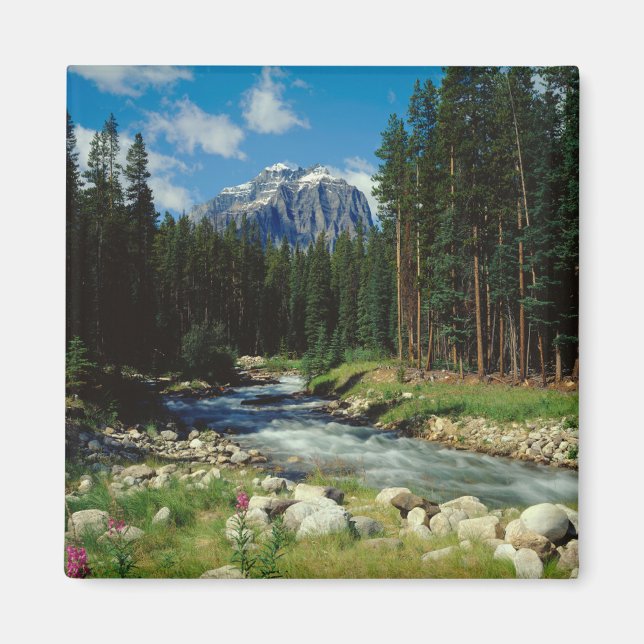 Mountains | Banff National Park Magnet (Front)