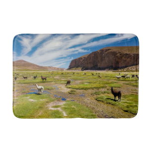 Mountains Bolivian Andes Bath Mat