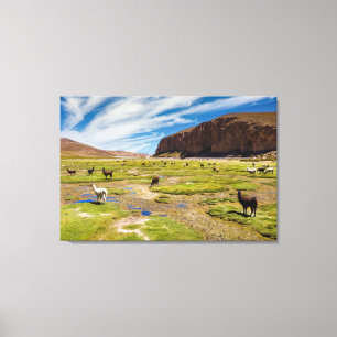 Mountains Bolivian Andes Canvas Print