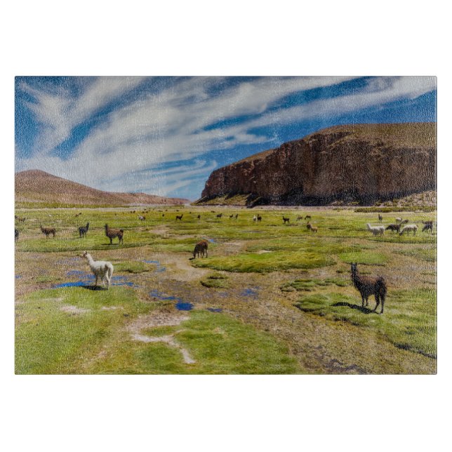 Mountains | Bolivian Andes Cutting Board (Front)