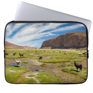 Mountains   Bolivian Andes Laptop Sleeve