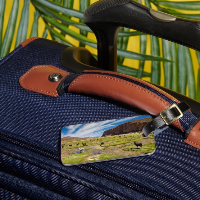 Mountains | Bolivian Andes Luggage Tag (Front Insitu 3)