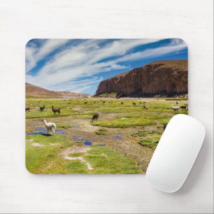 Mountains   Bolivian Andes Mouse Pad