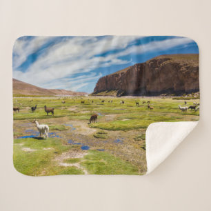 Mountains Bolivian Andes Sherpa Blanket