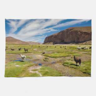 Mountains Bolivian Andes Tea Towel