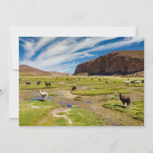 Mountains   Bolivian Andes Thank You Card