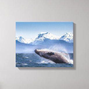 Mountains Breaching Whale Glacier Bay, Alaska Canvas Print