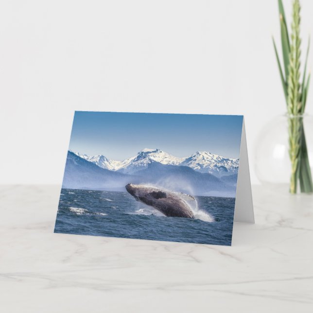 Mountains | Breaching Whale Glacier Bay, Alaska Card (Front)