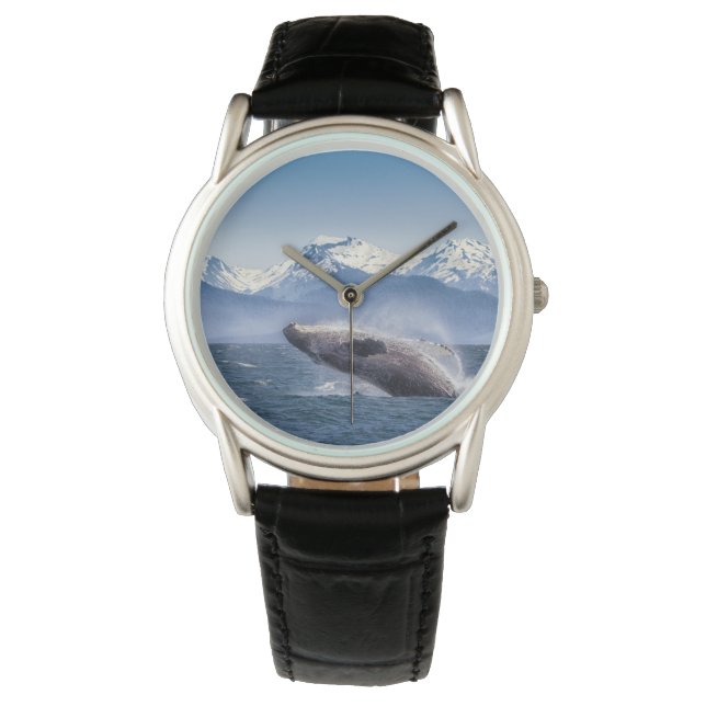 Mountains | Breaching Whale Glacier Bay, Alaska Watch (Front)
