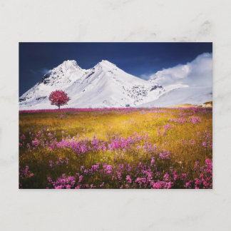 MOUNTAINS FIELD FLOWERS LANDSCAPE POSTCROSSING POSTCARD