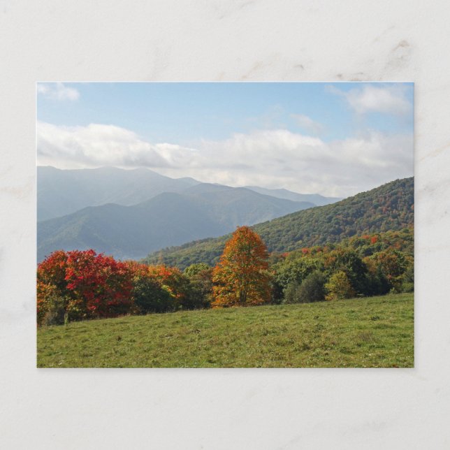 Mountains in Autumn Postcard (Front)