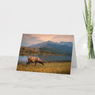Mountains Jacques Mountain Range Alberta Canada Card