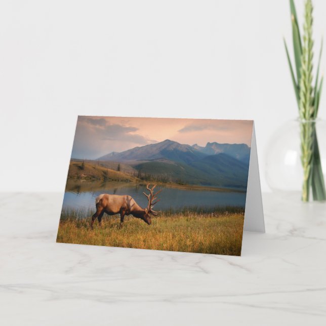 Mountains | Jacques Mountain Range Alberta Canada Card (Front)