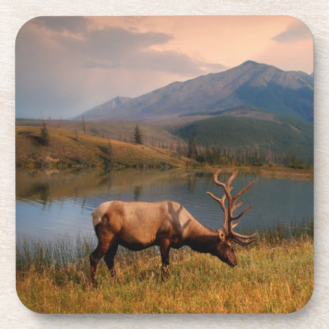 Mountains | Jacques Mountain Range Alberta Canada Coaster (Front)