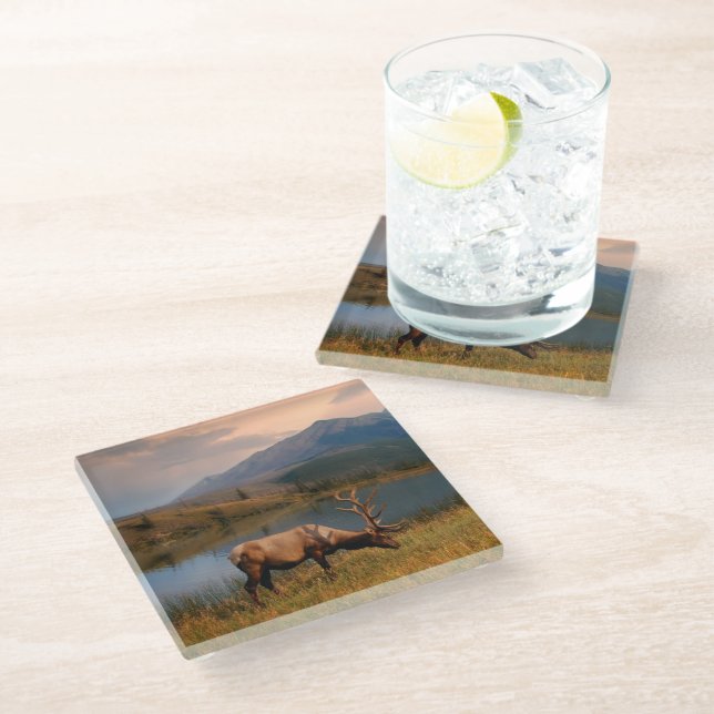 Mountains | Jacques Mountain Range Alberta Canada Glass Coaster (Angled)