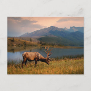 Mountains Jacques Mountain Range Alberta Canada Postcard