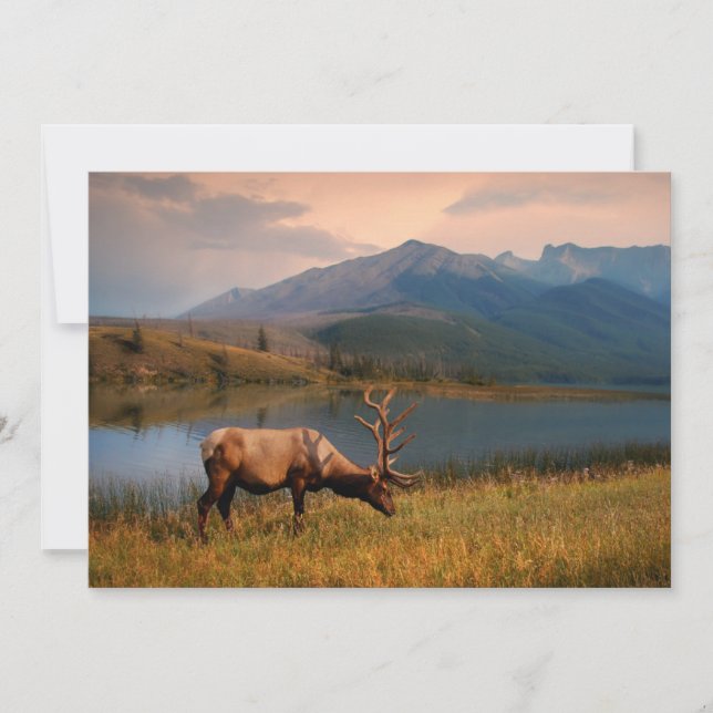 Mountains | Jacques Mountain Range Alberta Canada Thank You Card (Front)