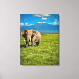 Mountains Mount Kilimanjaro Tanzania, Africa Canvas Print