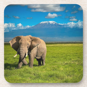Mountains   Mount Kilimanjaro Tanzania, Africa Coaster