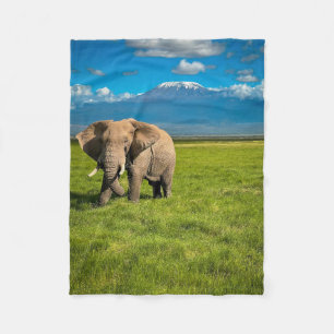 Mountains   Mount Kilimanjaro Tanzania, Africa Fleece Blanket