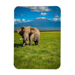 Mountains   Mount Kilimanjaro Tanzania, Africa Magnet