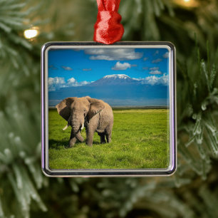 Mountains   Mount Kilimanjaro Tanzania, Africa Metal Ornament