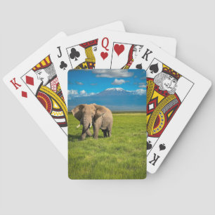 Mountains   Mount Kilimanjaro Tanzania, Africa Playing Cards