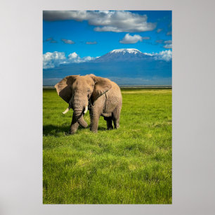 Mountains   Mount Kilimanjaro Tanzania, Africa Poster