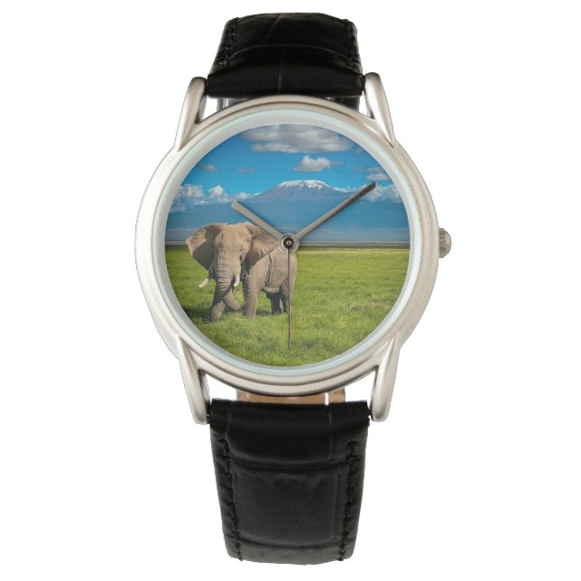 Mountains | Mount Kilimanjaro Tanzania, Africa Watch (Front)