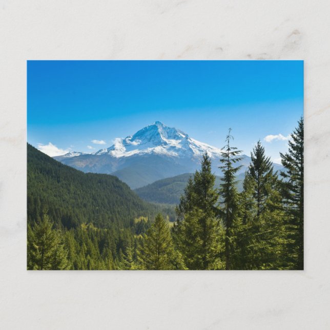 Mountains | Mt. Hood Oregon Postcard (Front)
