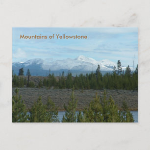 Mountains of Yellowstone Postcard