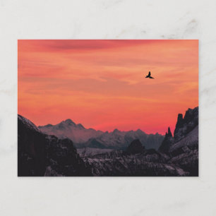 Mountains Orange Sunset Bird in Sky Postcard
