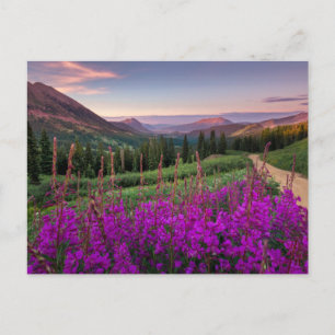 Mountains Rocky Mountains, Colorado Postcard