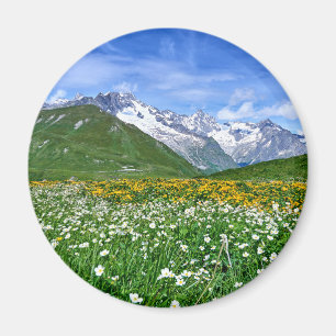 Mountains Swiss Alps Valley Spring Magnet