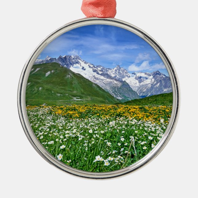 Mountains | Swiss Alps Valley Spring Metal Ornament (Front)