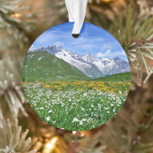Mountains   Swiss Alps Valley Spring Ornament